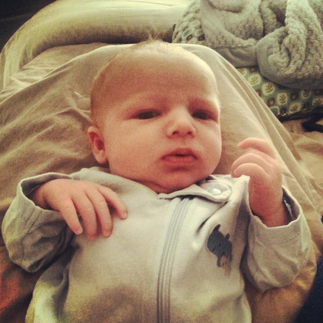 The Huston s My Little Boy the-huston-s-my-little-boy