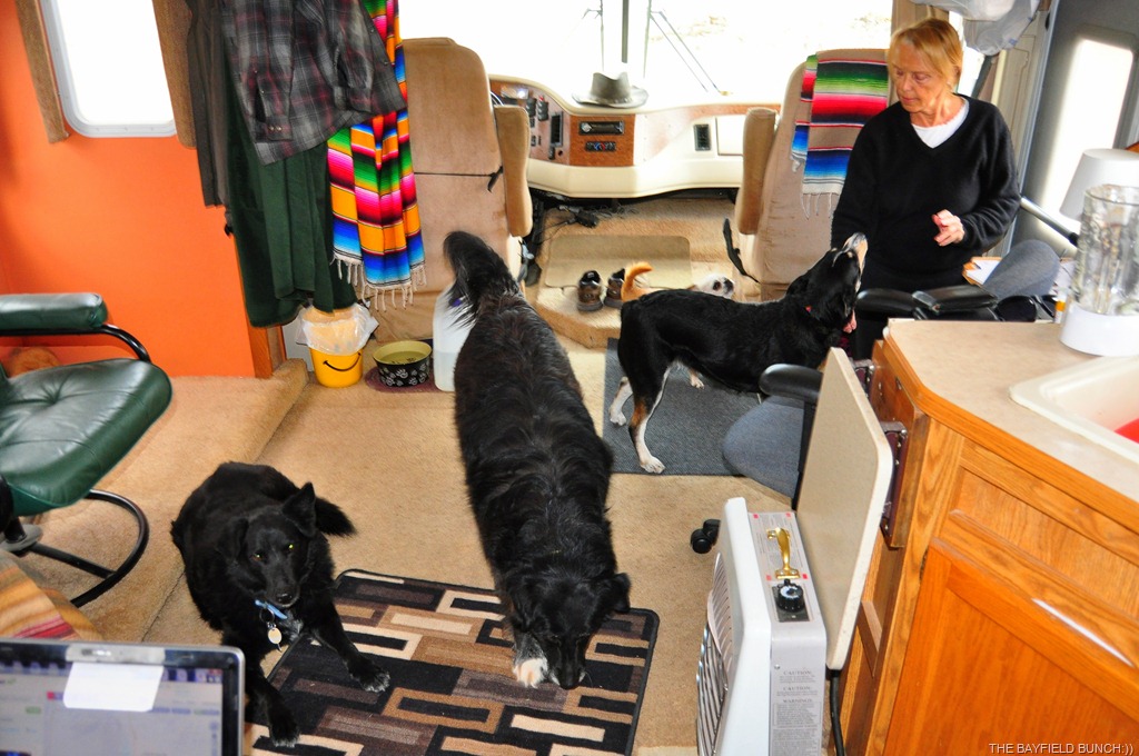 [DSC_0001%255B9%255D.jpg]