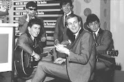 Hollies