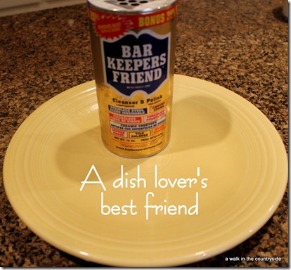 A Dish Lover's Best Friend
