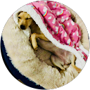 cannavvaro .s profile picture