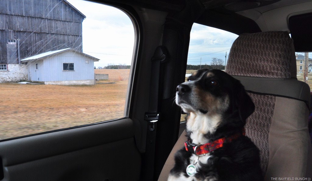 [DSC_0002%255B4%255D.jpg]