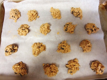 oatmeal cookies 023
