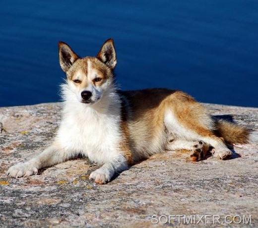 [clip_image004%255B8%255D.jpg]