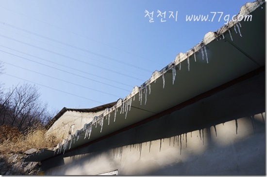 철천지DSC00863-20120104-014608