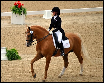 08a2 - Dressage Arena - beautiful horse and rider