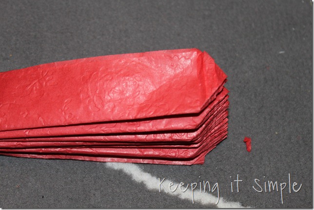 tissue paper pom pom (9)