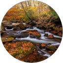 Julie McSwain profile picture