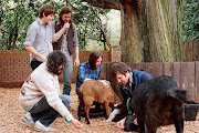 Fleet Foxes