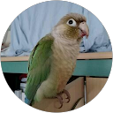 Image Google de Nathalie C