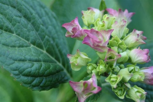 20100702a (2) (Small)