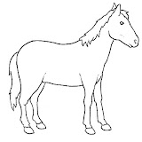cavallo2.jpg