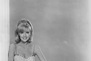 shelley fabres