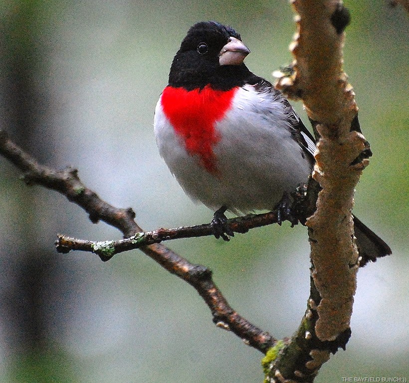 [DSC_9384%255B5%255D.jpg]