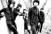 The Horrors