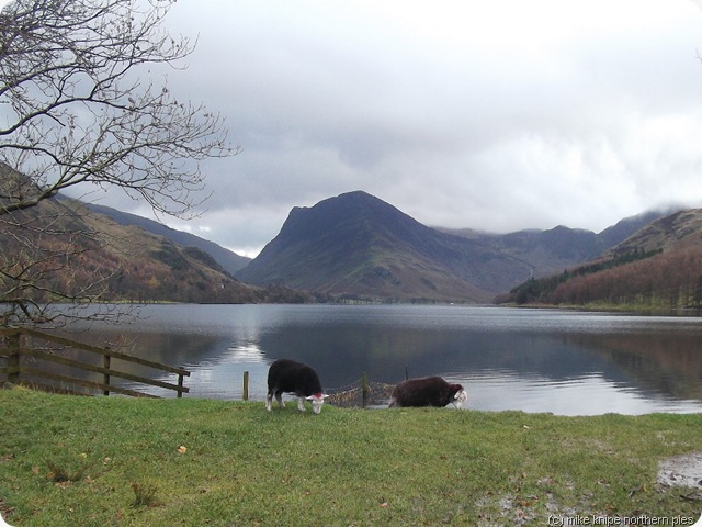 buttermere 