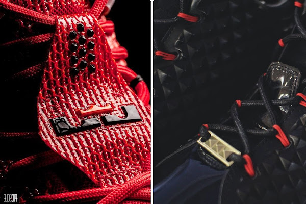 lebron james shoes with lion on back