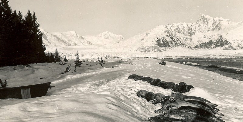 alaska-glaciers-16