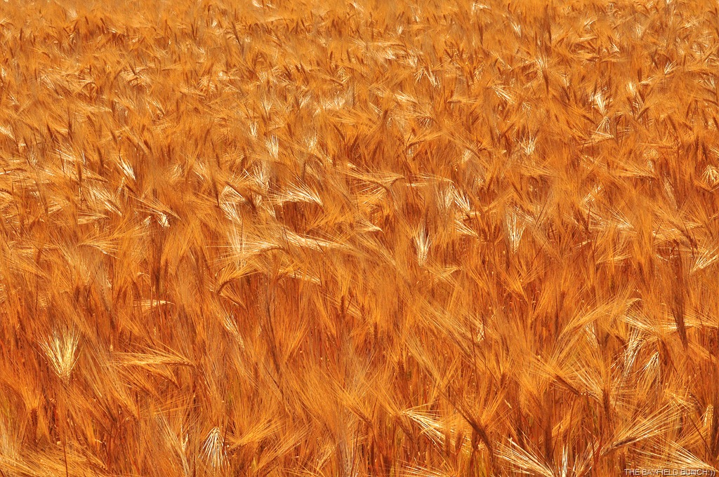 [DSC_0008%255B4%255D.jpg]