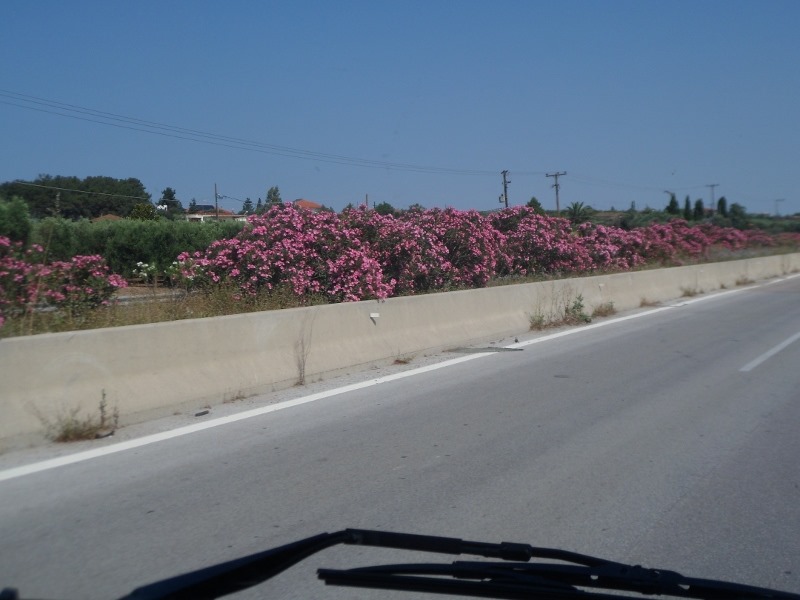 [SAM_5985%2520%2528800x600%2529%255B6%255D.jpg]