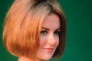 shelley fabres