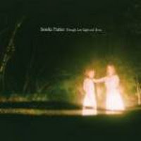 Through Low Light & Trees