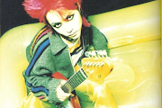 Hide