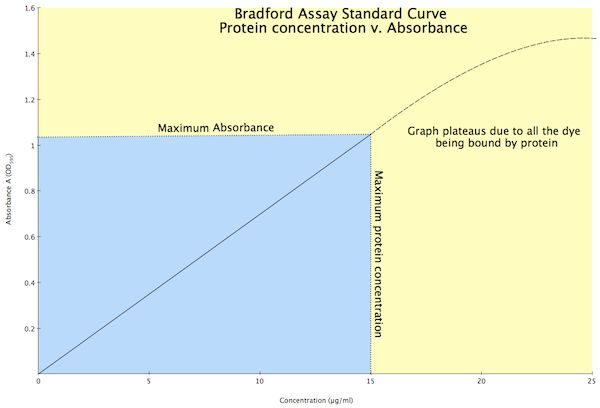 Bradford assay graph