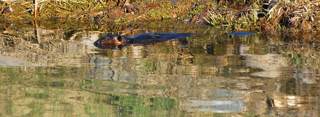 [DSC_9169%255B4%255D.jpg]