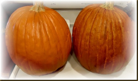 Pumpkins before after