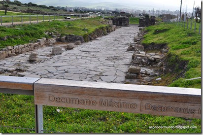 Bolonia. Baelo Claudia. Conjunto Arqueológico. Puerta de Carteia y Decumanus Maximus - DSC_0175