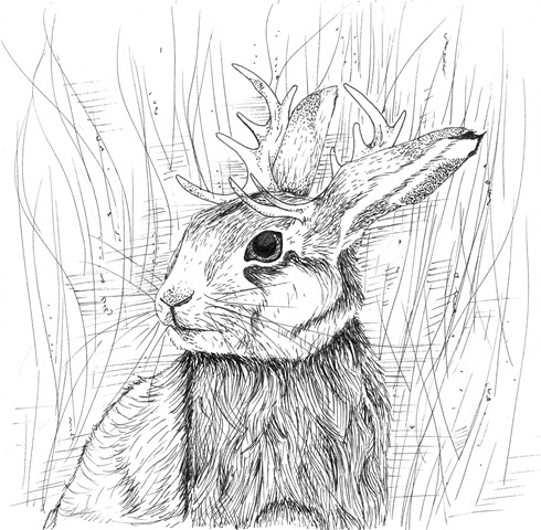 [jackalope%2520edit%25202%255B4%255D.jpg]