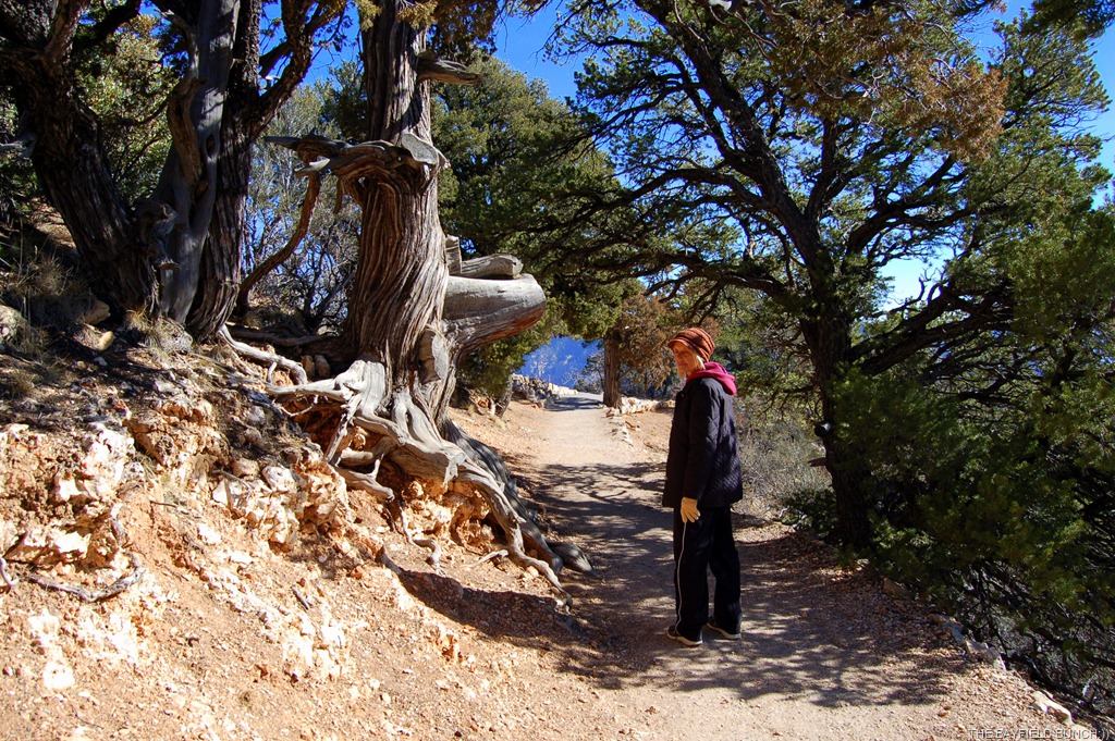 [DSC_0022%255B7%255D.jpg]