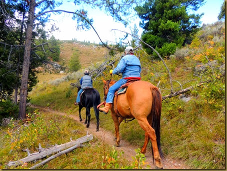 horse riders on trail-