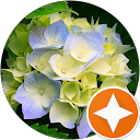 Image Google de FLORENCE ROVERCH