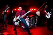 Torche
