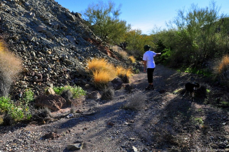 [DSC_0010%255B5%255D.jpg]