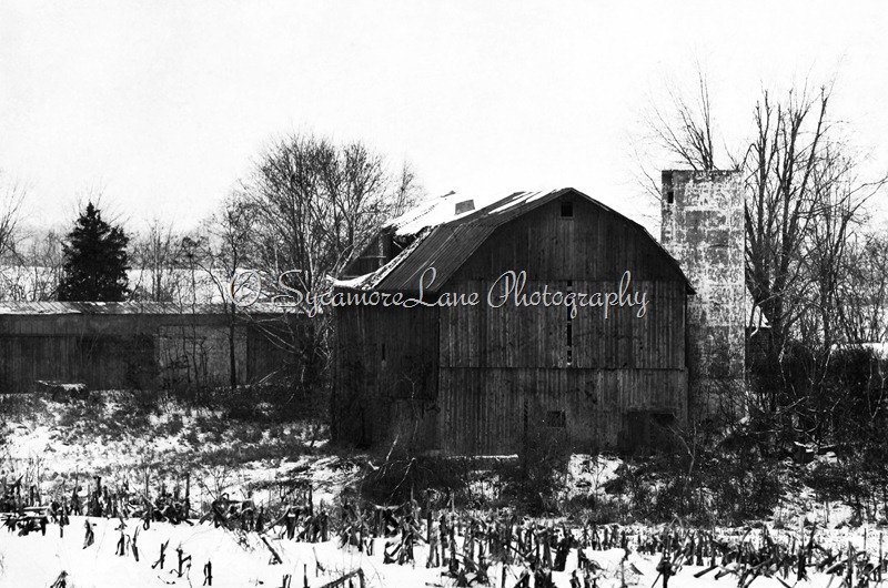 winter barn-web-black and white