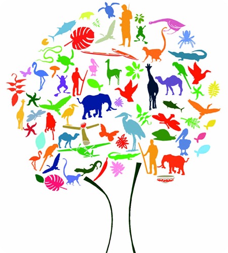 biodiversita biodiversita
