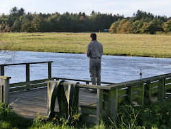 Skjern Au _ Oktober 2012 - 074