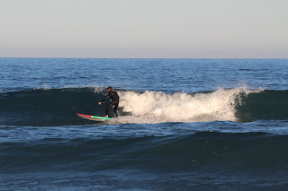 IMG_4354.JPG