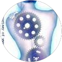 Taryn Boyd profile picture