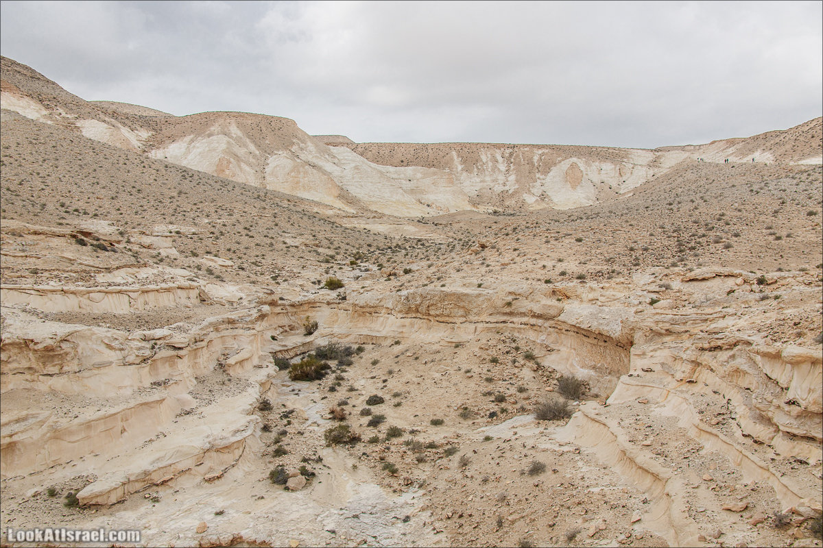 Лунные пейзажи пустыни Негев | Lunar landscapes of the Negev | LookAtIsrael.com - Фото путешествия по Израилю