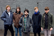 Foals