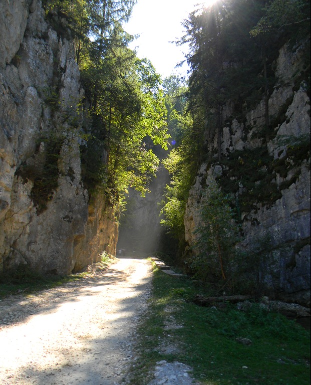 [DSCN48747.jpg]