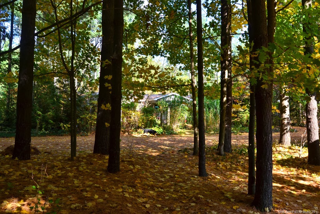 [DSC_0032%255B3%255D.jpg]