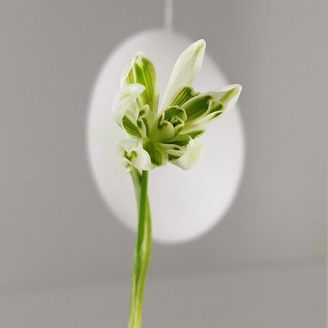 Ei fein ein Ei! Kitschreie Osterideen. Ei fein ein Ei! Kitschreie Osterideen. Cultform