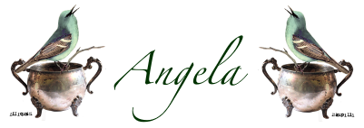 [Angela%2520bird%255B5%255D.png]