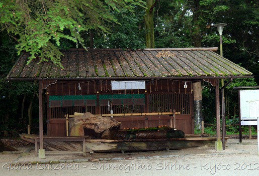 Glória Ishizaka - Shimogamo Shrine - Kyoto - 25