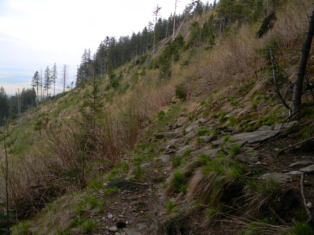 [DSCN53663.jpg]